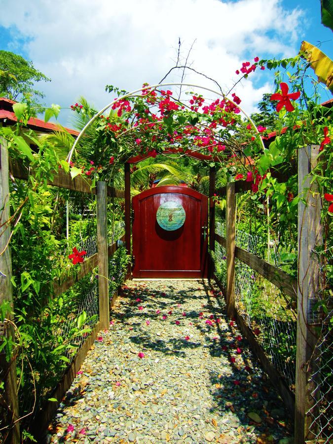 Casa Abundancyah B&B Bocas del Toro Eksteriør billede